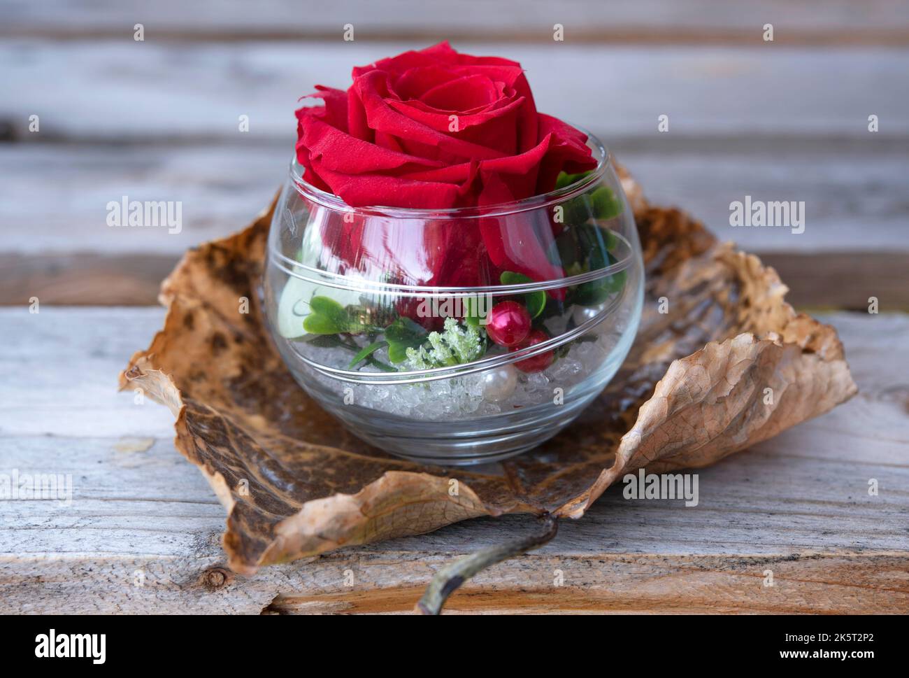 Rose rouge unique dans un bol en verre sur la feuille, isolée sur le fond en bois Banque D'Images
