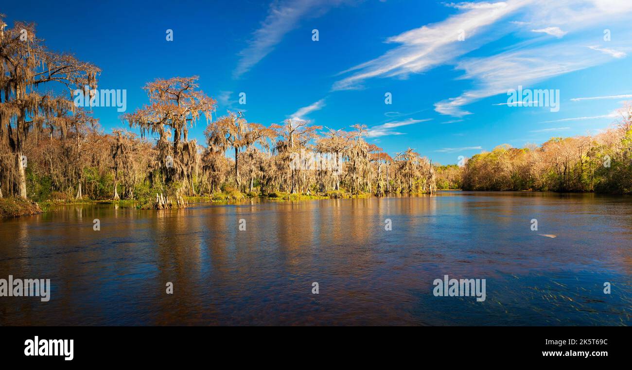 Edward ball Wakulla Springs State Park, Floride Banque D'Images