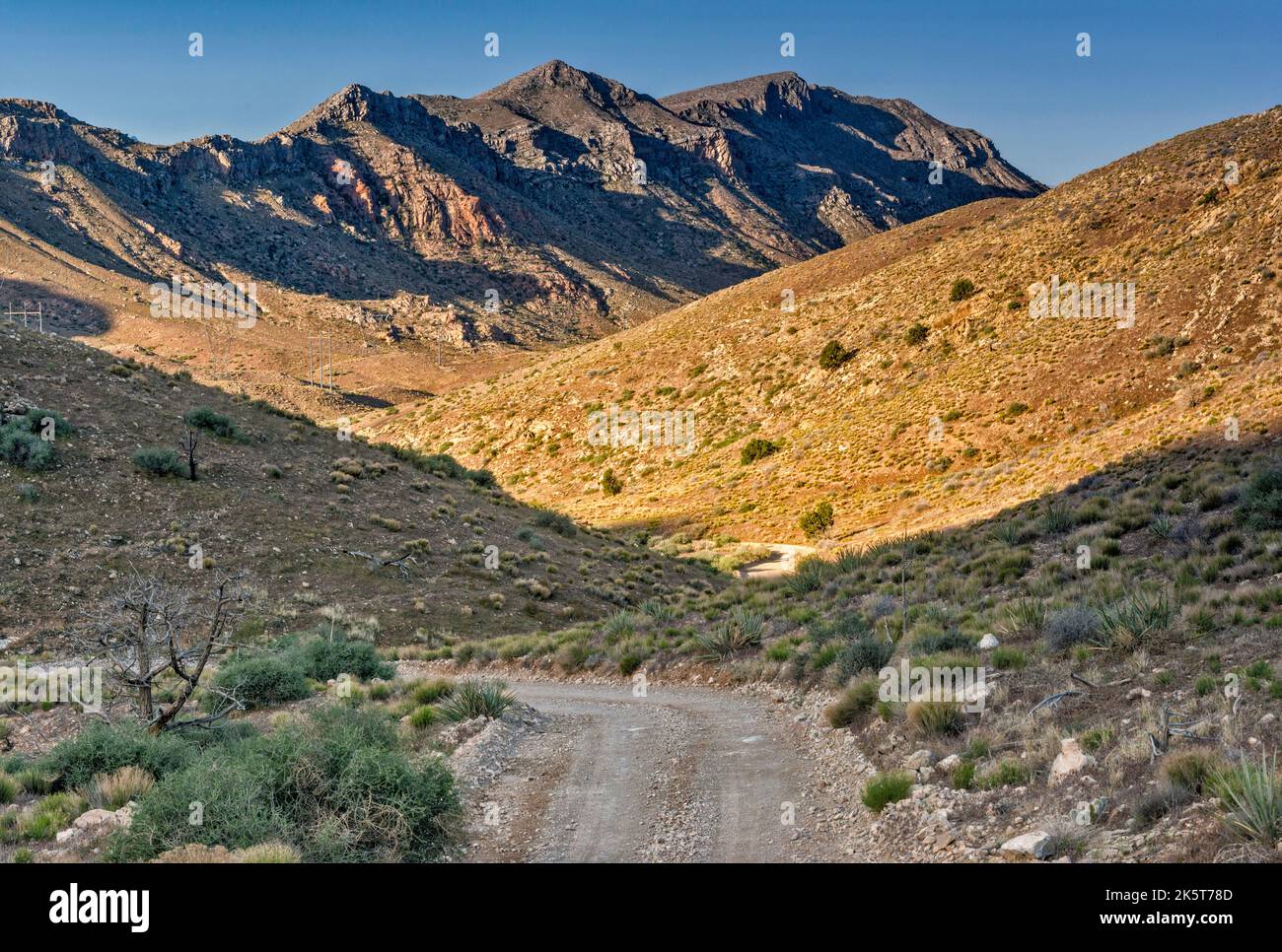 Beaver Dam Mountains, vue depuis Bulldog Pass, en direction de Bulldog Canyon, Mojave Desert Joshua Tree Rd, Beaver Dam Wash Natl conservation Area, Utah, États-Unis Banque D'Images