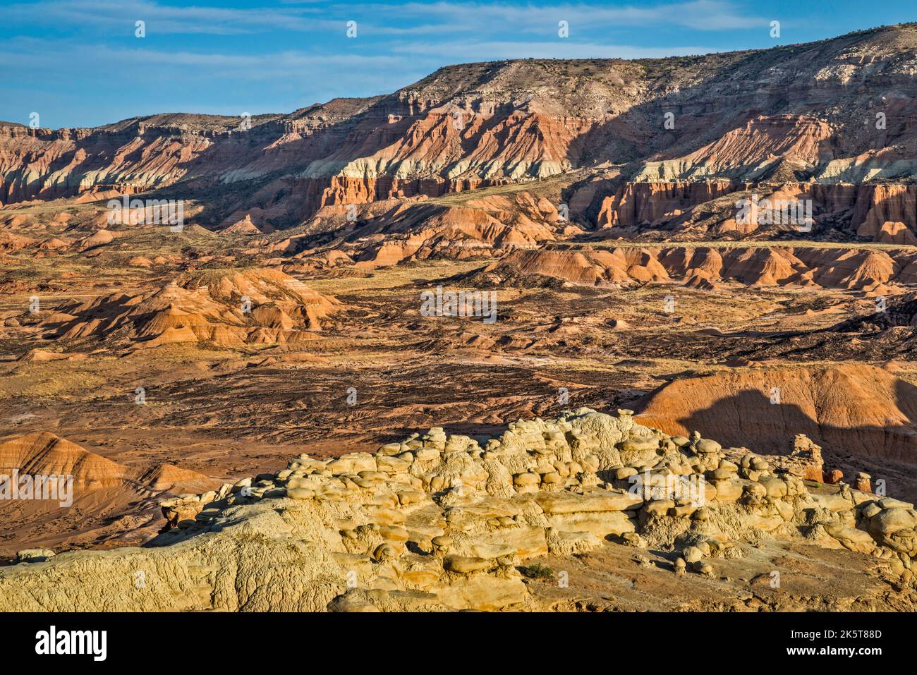 La formation de Hartnet, zone de Jailhouse Rock, au-dessus du Lower South Desert, parc national de Capitol Reef, Utah, États-Unis Banque D'Images