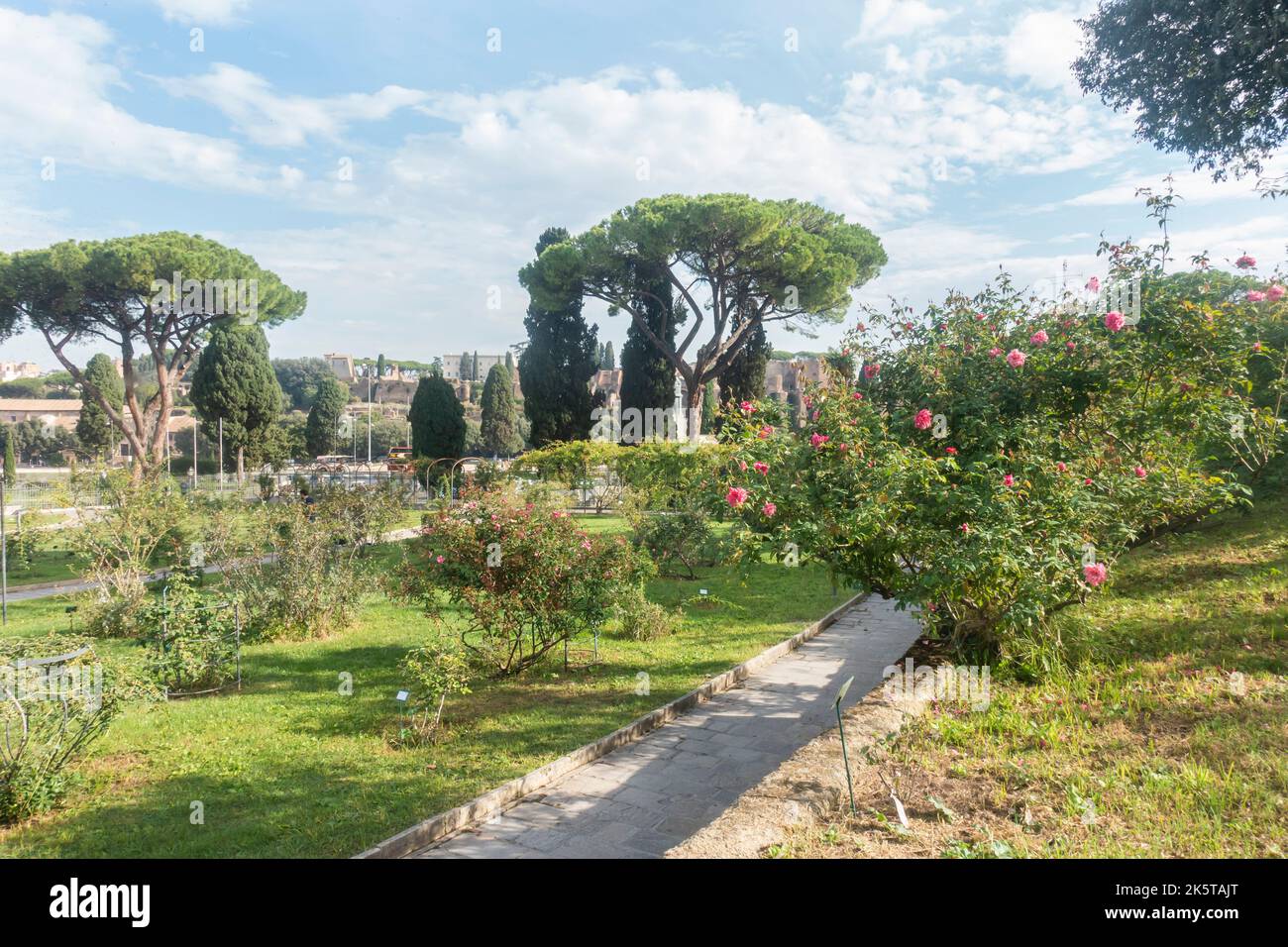 Rome, Italie - octobre 2022 - Roseto Comunale, la roseraie municipale, l'un des jardins les plus romantiques de Rome, sur la colline de l'Aventin Banque D'Images