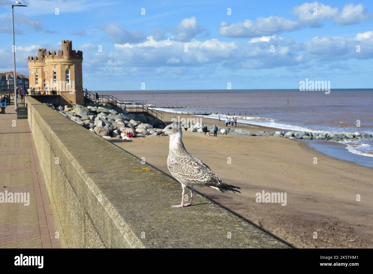 La promenade, Withhernsea, Yorkshire de l'est, Soleil, automne, Banque D'Images