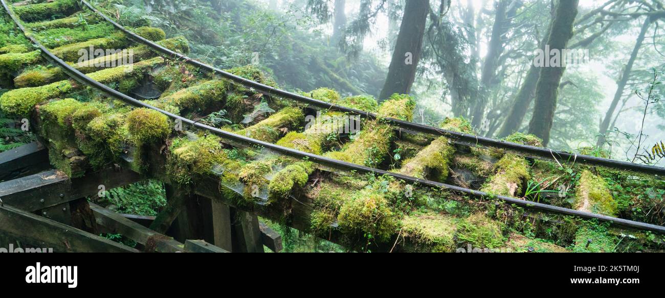 Magnifique sentier historique de Jianqing (Jiancing), chemin de fer forestier de l'aire de loisirs de la forêt nationale de Taipingshan de Taiwan. Banque D'Images
