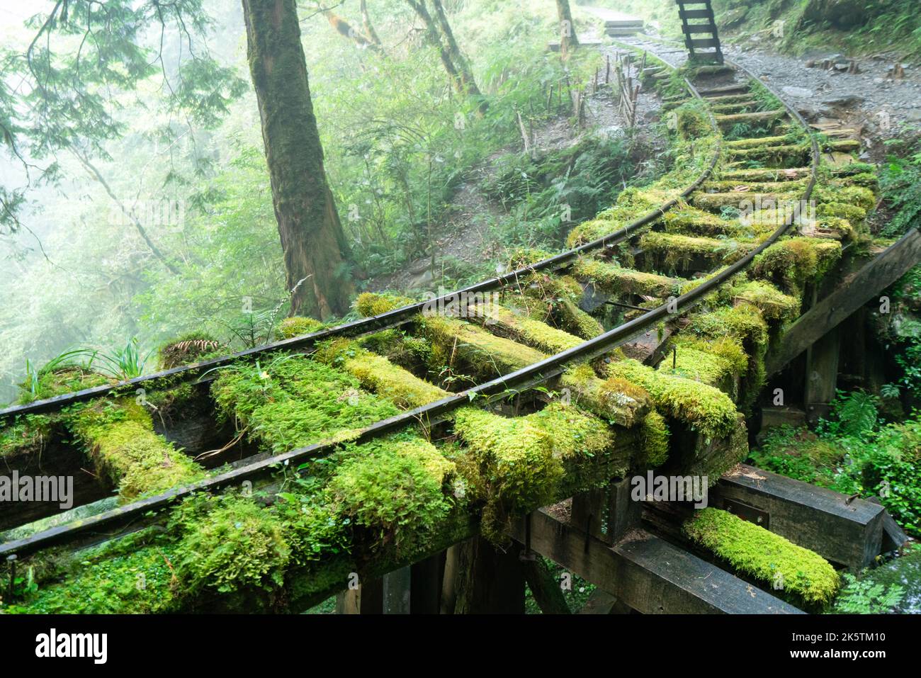 Magnifique sentier historique de Jianqing (Jiancing), chemin de fer forestier de l'aire de loisirs de la forêt nationale de Taipingshan de Taiwan. Banque D'Images