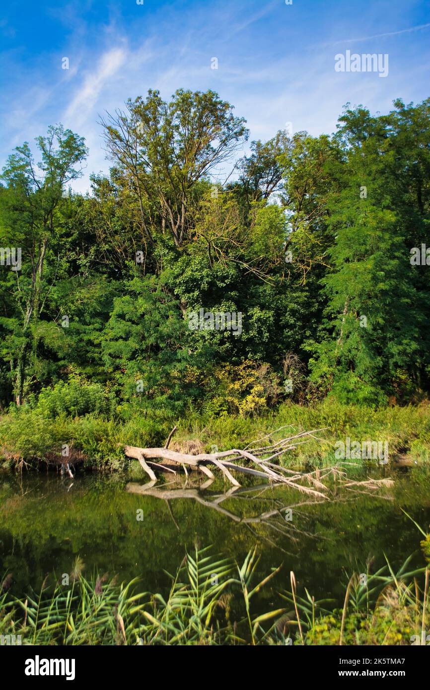 Magnifique paysage avec le Danube à Ratisbonne, Bavière Banque D'Images