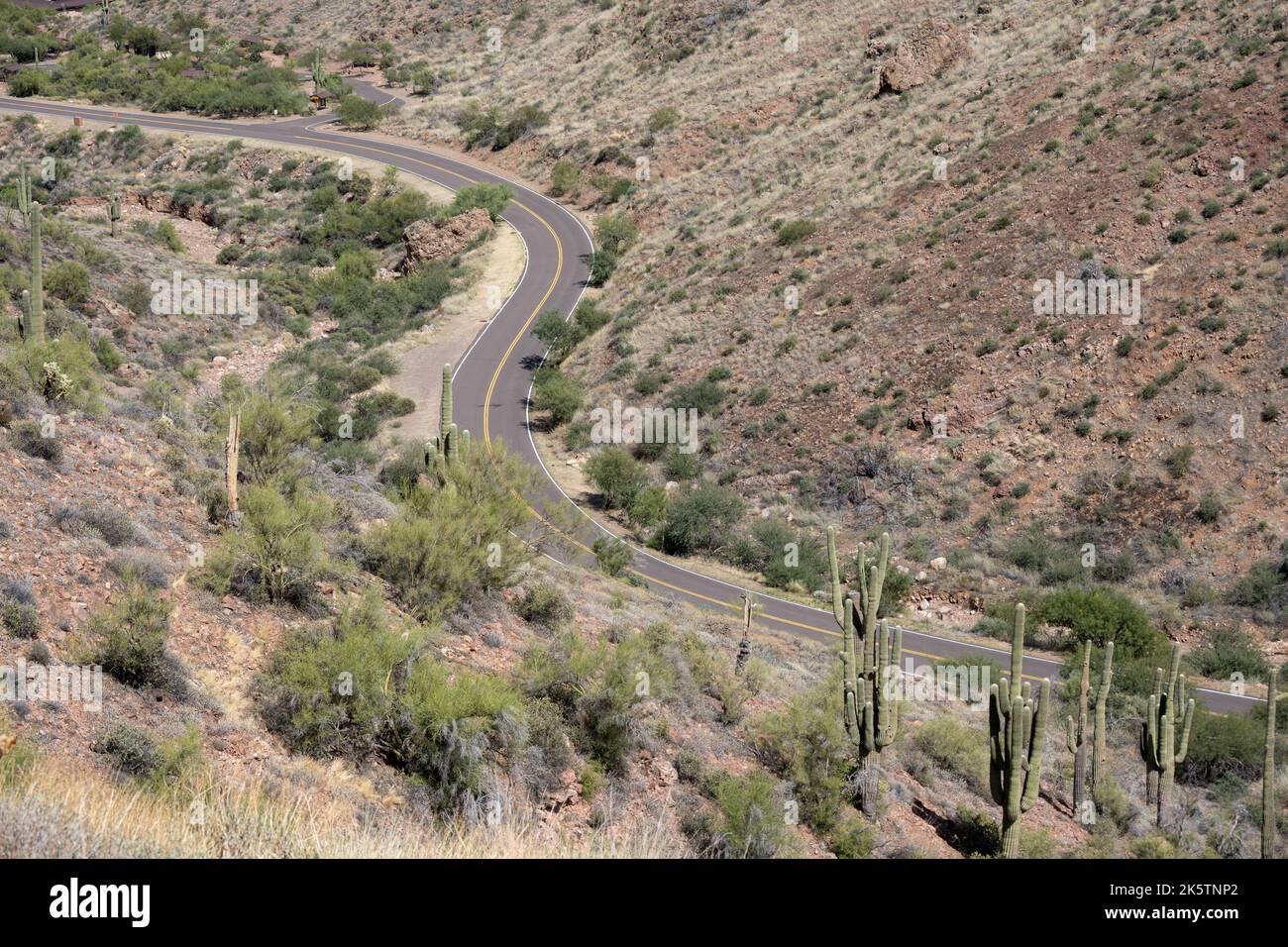 Vue sur une route à deux voies faisant un demi-tour dans la forêt nationale de Tonto Banque D'Images