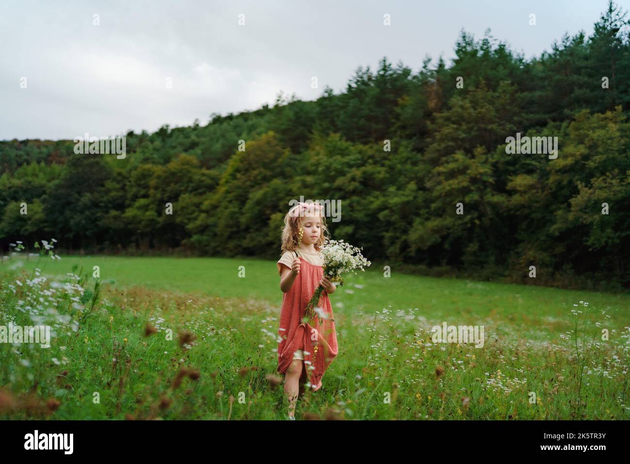 Petite fille en robe d'été cueillant des fleurs à la prairie. Banque D'Images