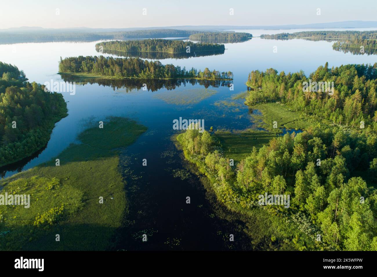 Vue d'ensemble du paysage des lacs dans le nord de la Finlande, le matin de l'été Banque D'Images