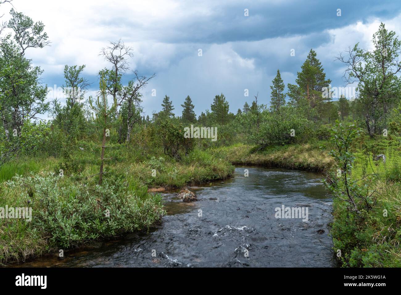 Petit ruisseau qui coule au milieu du parc national estival d'Urho Kekkonen, dans le nord de la Finlande Banque D'Images
