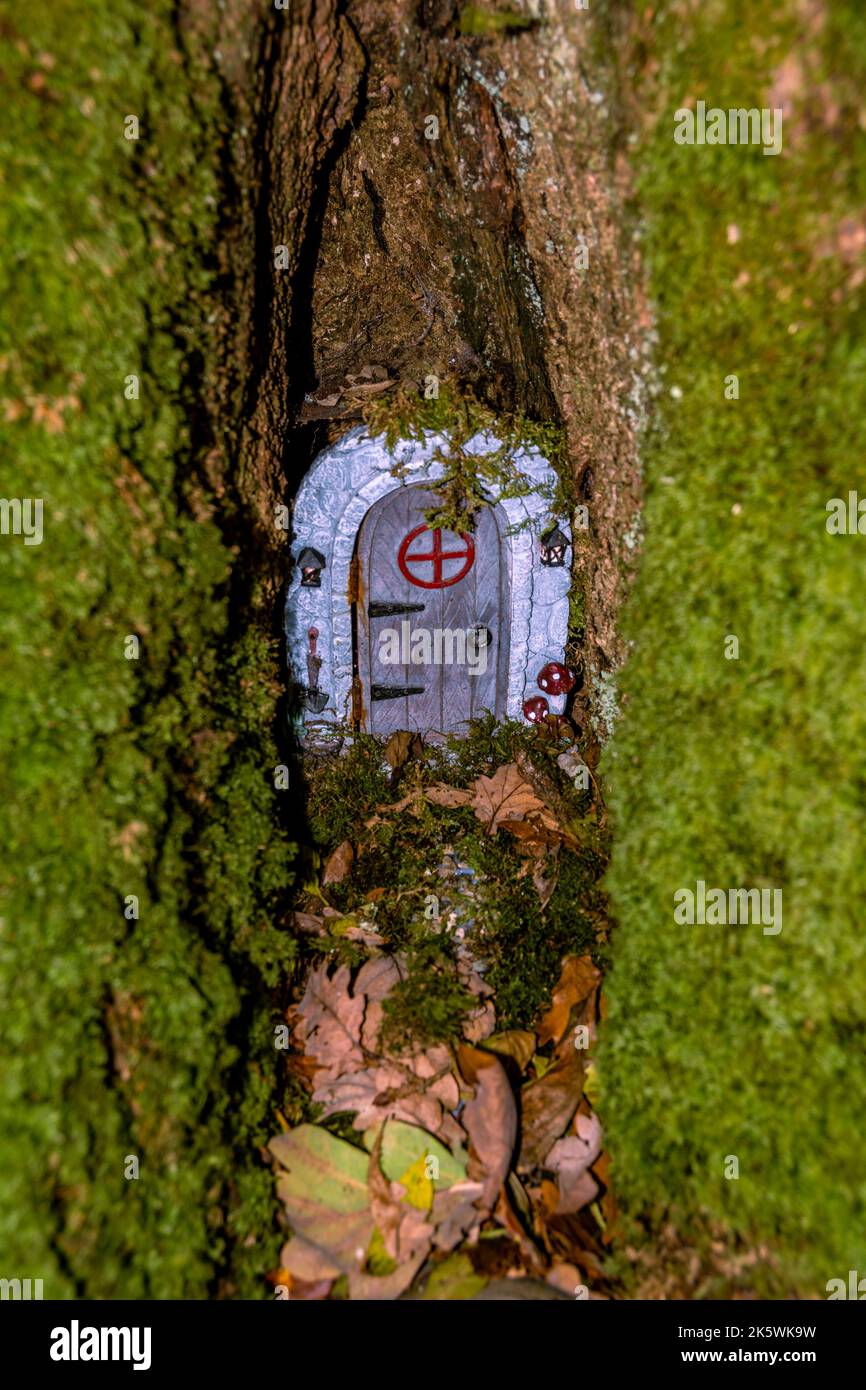Maisons de fées dans un bois sombre. Banque D'Images