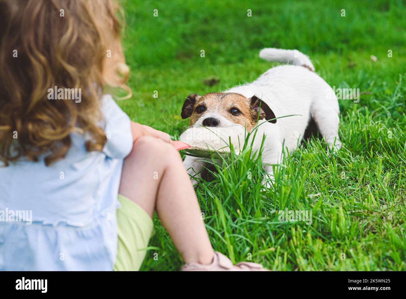 Petite fille tire jouet jouant le jeu de remorqueur de guerre avec chien d'animal de compagnie de famille Banque D'Images