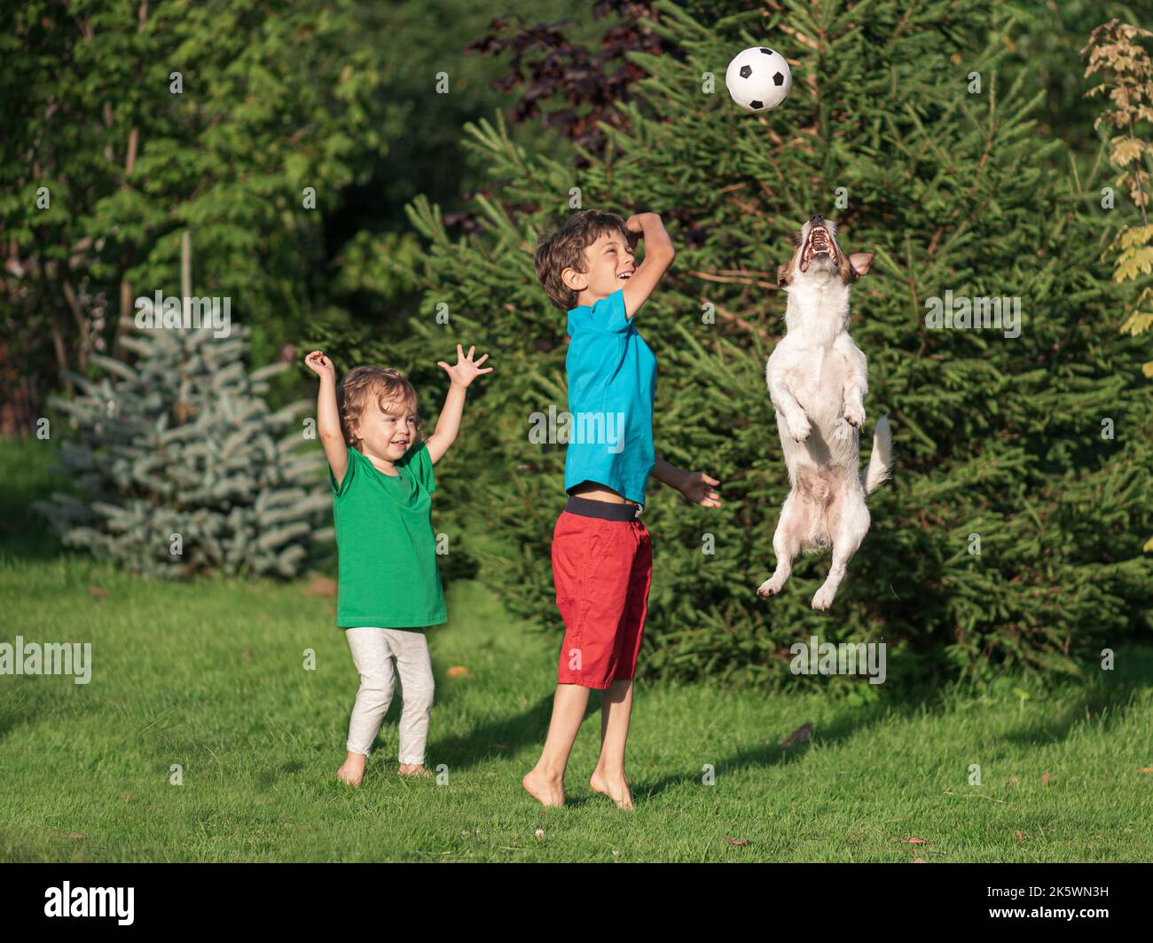 Des enfants heureux et excités jouant au football avec un chien de compagnie de famille à l'extérieur sur le gazon de cour le jour d'été ensoleillé Banque D'Images