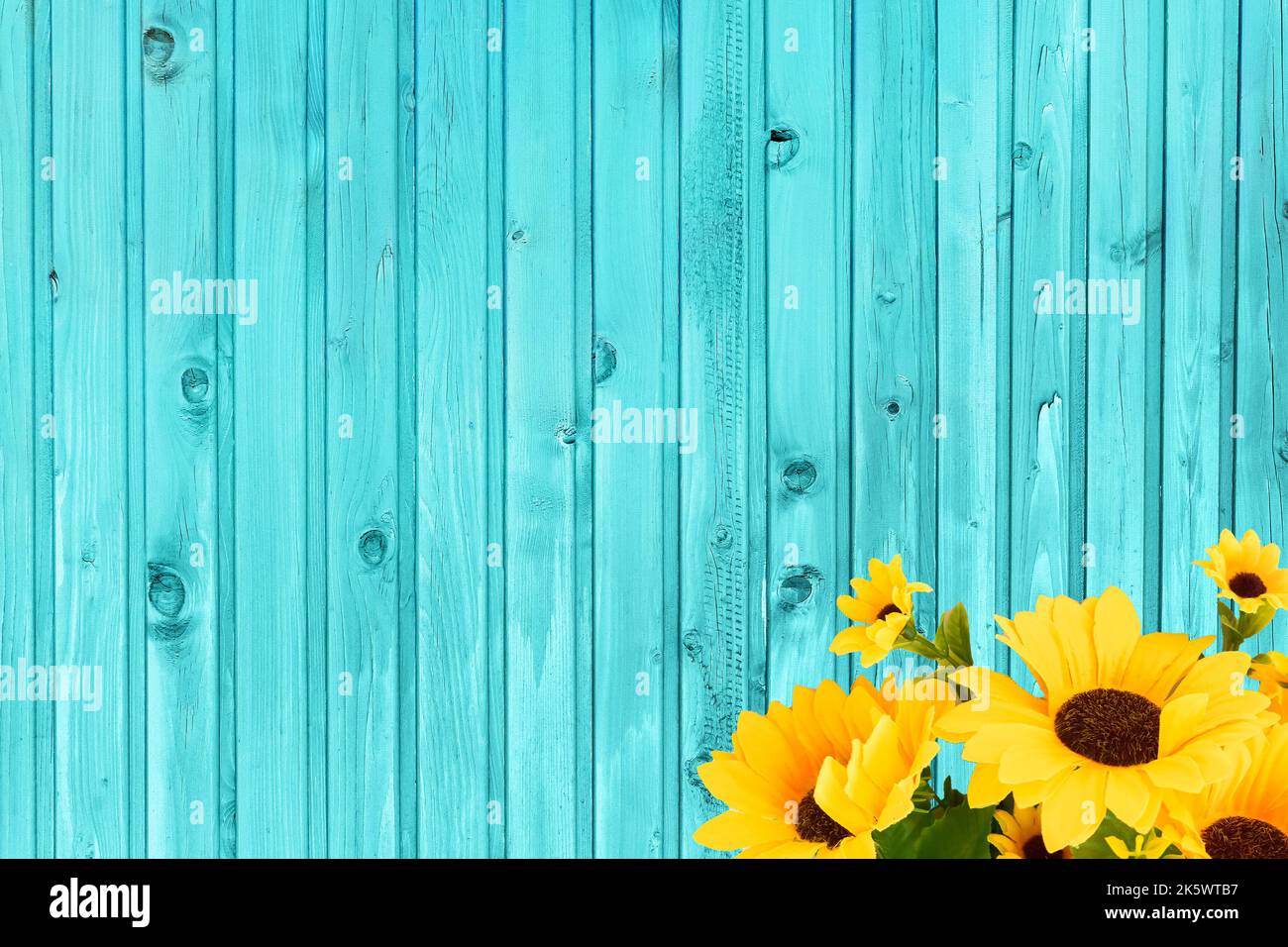 Fond de gabarit texturé en bois avec bordure de tournesol Banque D'Images