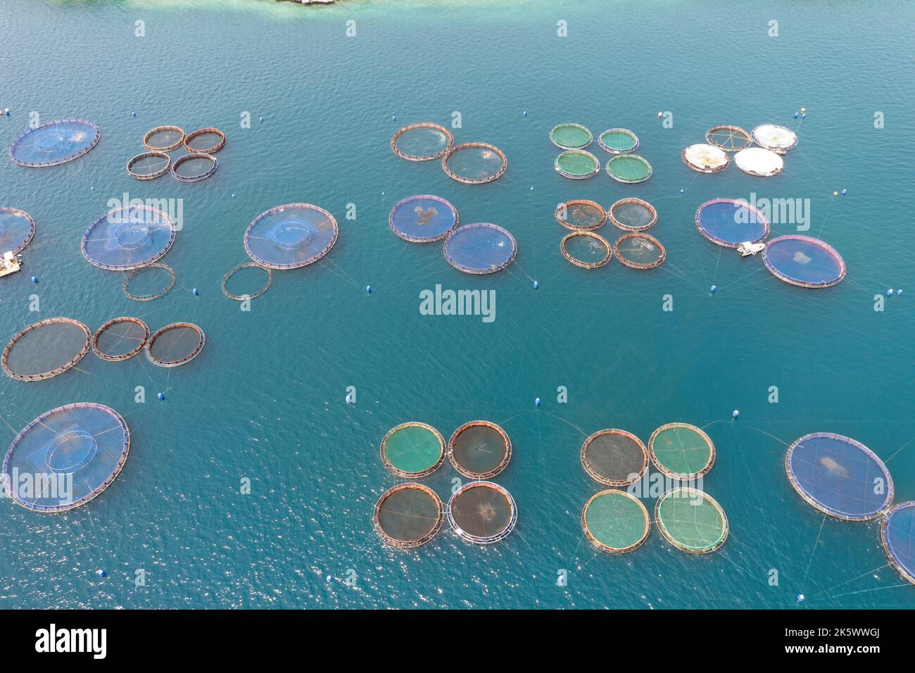 Aquaculture industrie du poisson, pisciculture. Bar de mer et dorade de mer croissant dans des cages, vue aérienne de drone. Banque D'Images