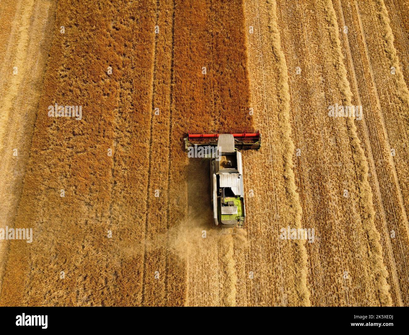 Vue aérienne d'une moissonneuse-batteuse labourant le champ Banque D'Images