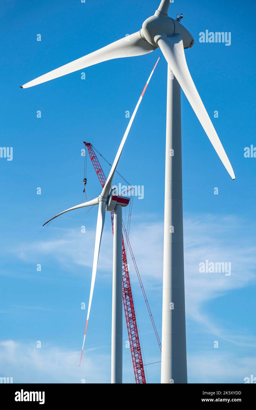 Montage d'une éolienne, la dernière pale de rotor est montée, grue montée  sur camion, éolienne du fabricant Enercon, parc éolien près de Bad Photo  Stock - Alamy