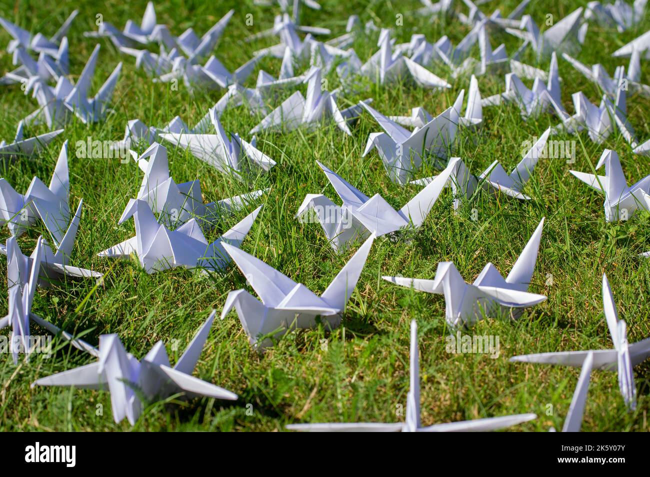 Grues Origami pliées japonaises sur de l'herbe fraîche. Des centaines d'oiseaux en papier faits main sur un terrain vert avec espace de copie. 1000 mille grue tsuru sujet de sculpture Banque D'Images