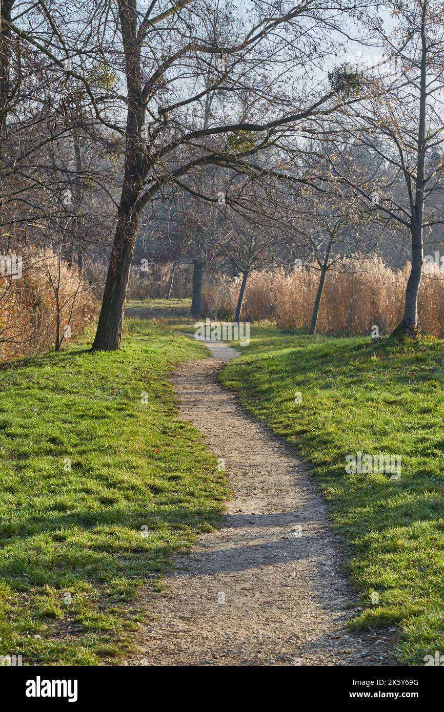 Promenez-vous dans le parc d'automne au bord du lac Banque D'Images