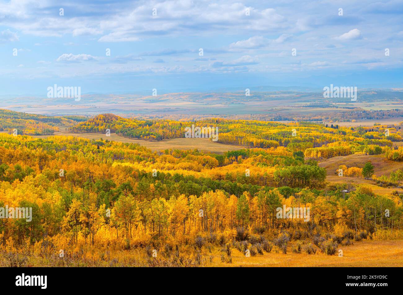 Superbe panorama des prairies et des forêts dans de magnifiques couleurs d'automne. Ciel bleu et nuages complètent l'automne couleur arrière-plan extérieur près de Banque D'Images