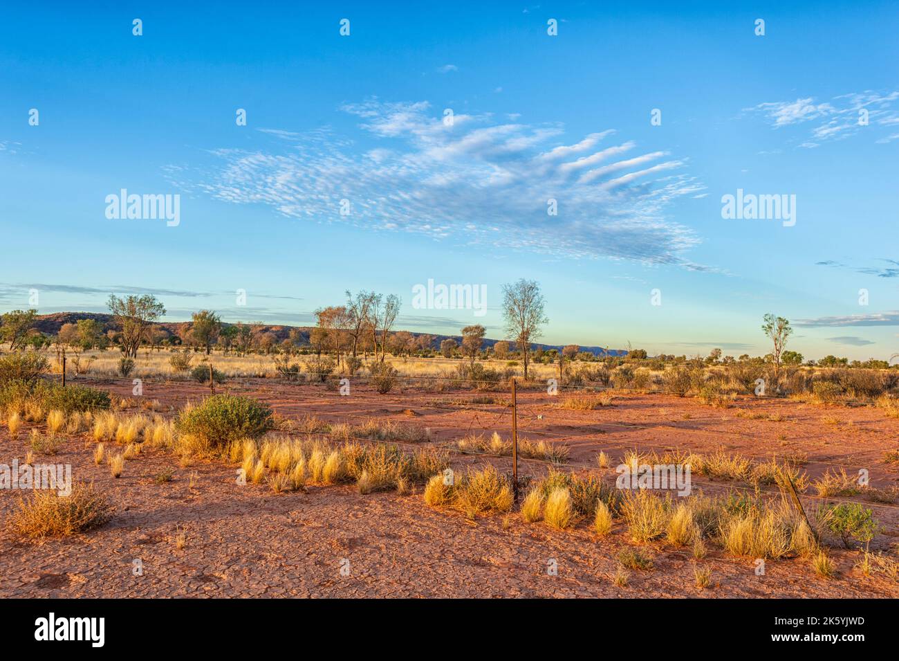 Vue panoramique sur le désert de Simpson dans la lumière du soir, Outback australien, territoire du Nord, territoire du Nord, Australie Banque D'Images