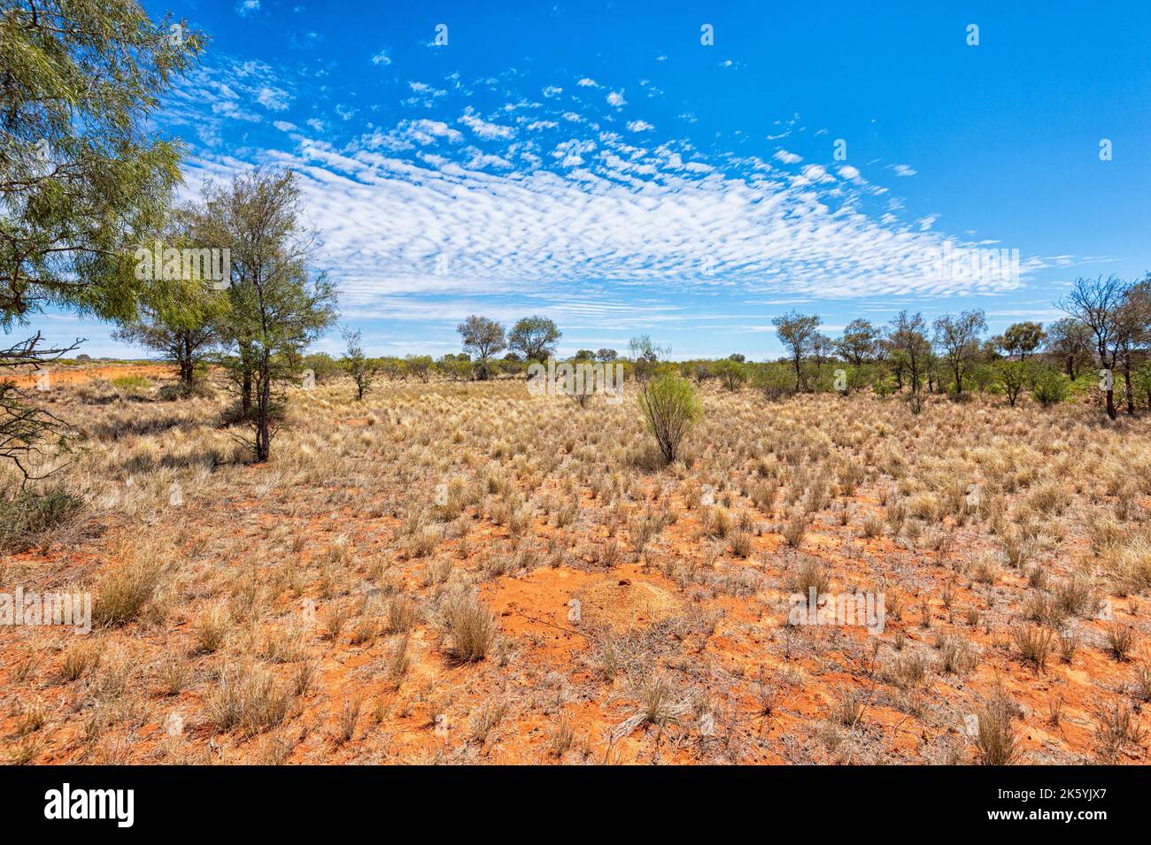Paysage typique du désert de Simpson dans l'Outback australien, territoire du Nord, territoire du Nord, Australie Banque D'Images