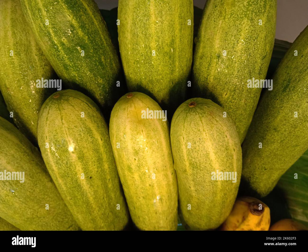 les concombres sur l'assiette dans le jardin de thaïlande Banque D'Images