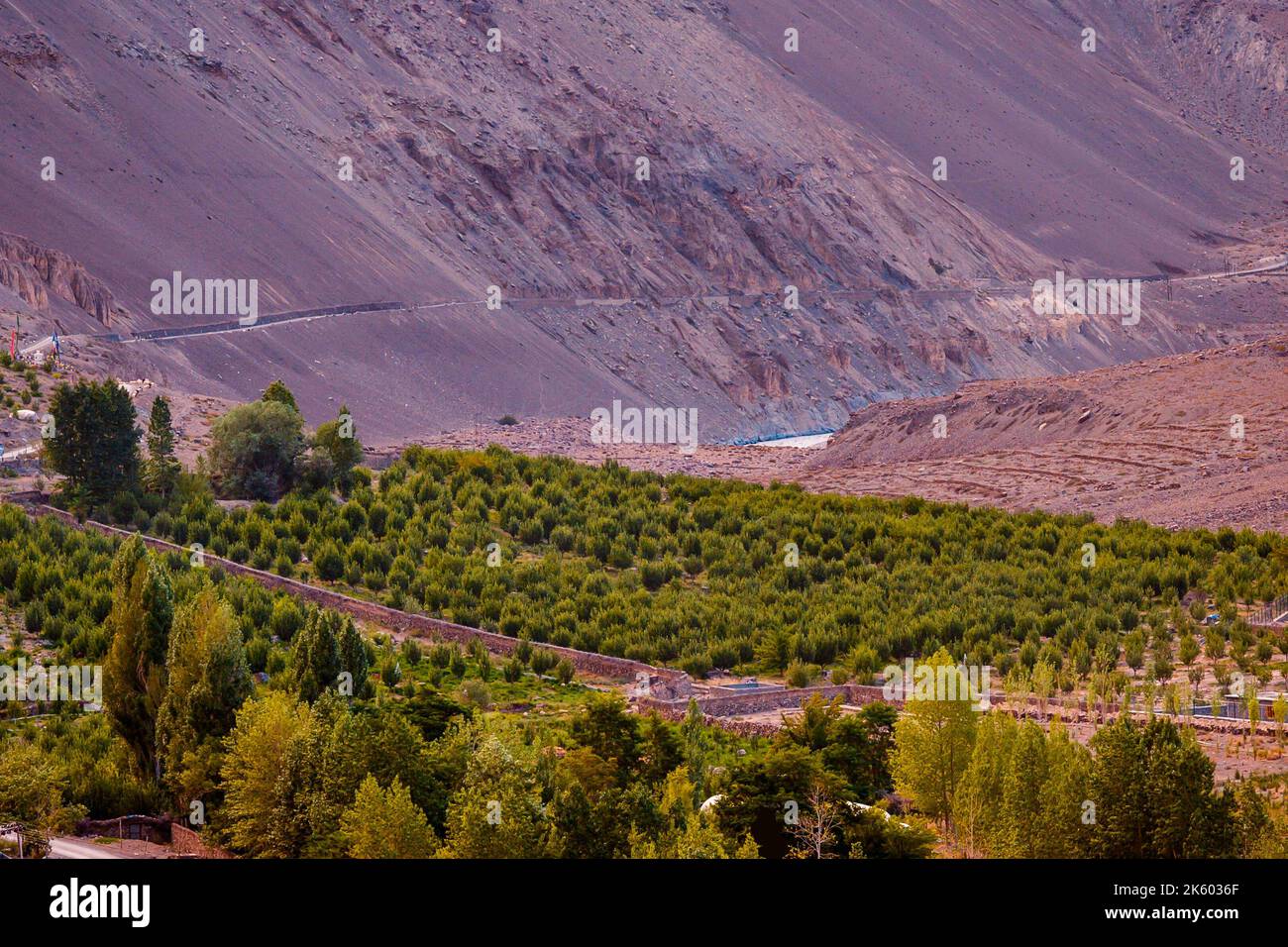 Vue panoramique sur les champs verdoyants et l'ancien monastère dans le village himalayan de Tabo, dans la vallée de Spiti, dans l'Himachal Pradesh, en Inde. Banque D'Images