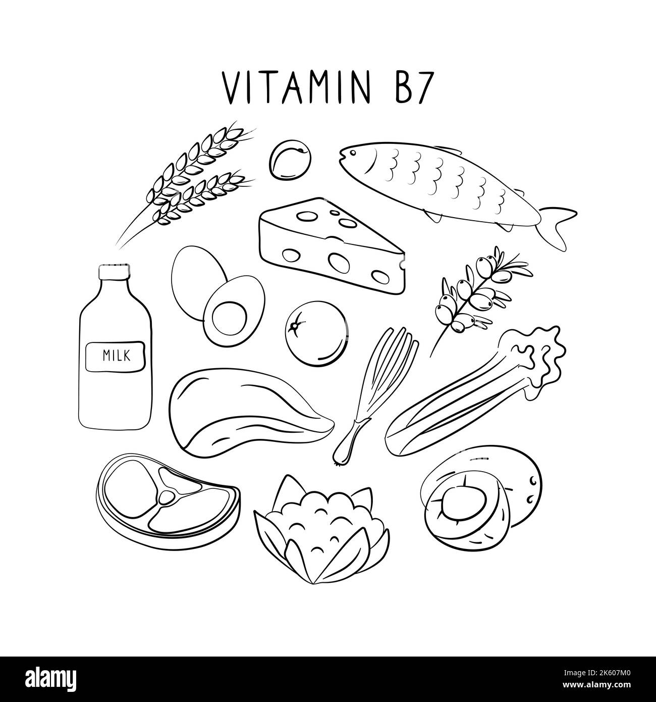Vitamine B7 Biotine. Groupes de produits sains contenant des vitamines. Ensemble de fruits, légumes, viandes, poissons et produits laitiers Illustration de Vecteur