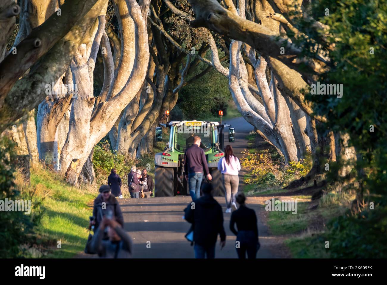 BALLYMONEY, ROYAUME-UNI - 18 SEPTEMBRE 2022 : touristes visitant le tunnel des arbres de Dark Hedges à Ballymoney, en Irlande du Nord. Banque D'Images