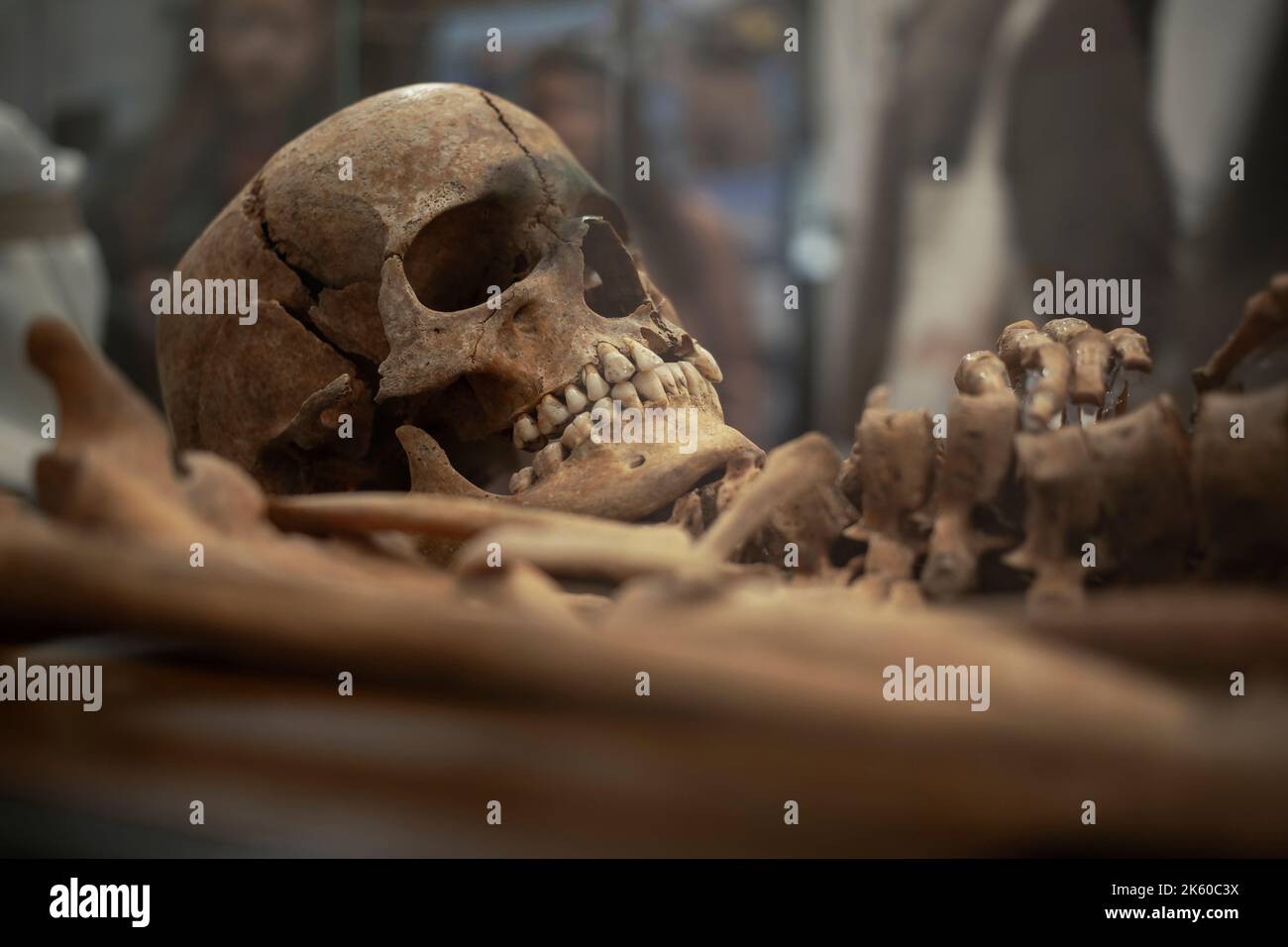 Belgrade, Serbie, mars 2022: Squelette humain du 14th siècle exposé dans une exposition dédiée aux recherches archéologiques de Vinča Banque D'Images