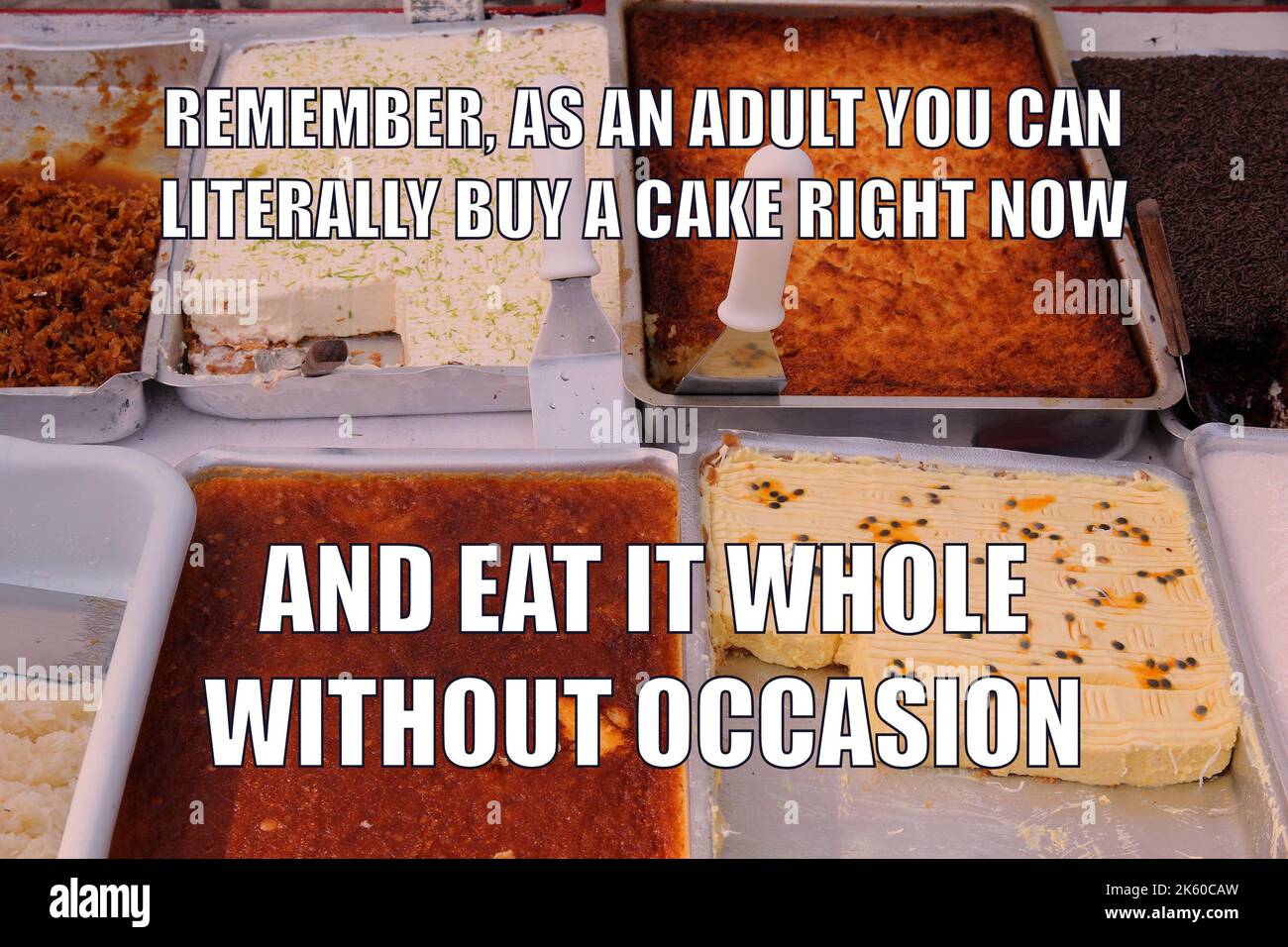 Cake Funny meme pour le partage de médias sociaux. Humour sur le fait d'être adulte. Banque D'Images