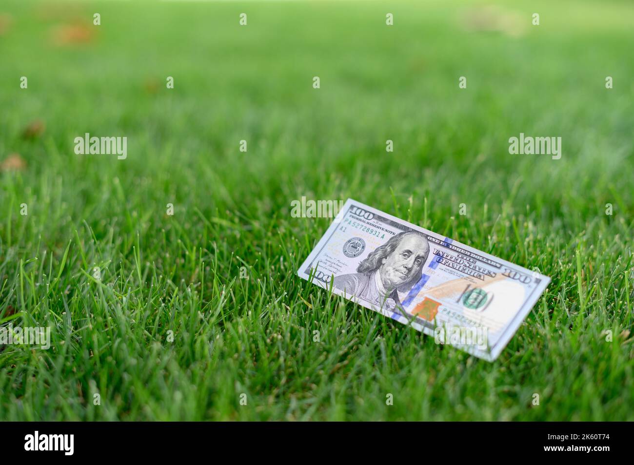 Gros plan sur une note de banque de 100 dollars sur fond d'herbe. Cent dollars américains. Banque D'Images