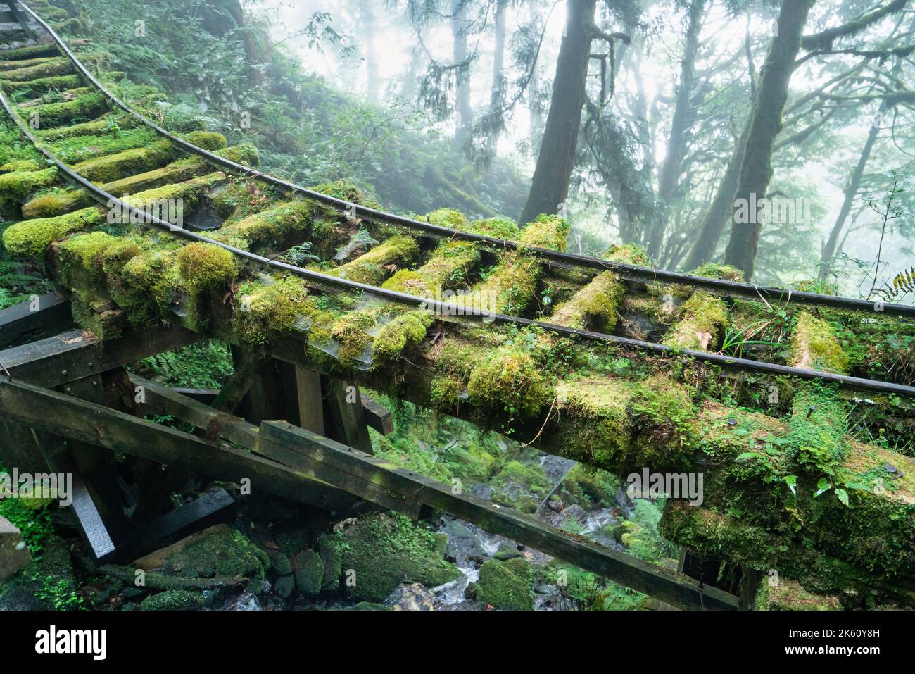 Magnifique sentier historique de Jianqing (Jiancing), chemin de fer forestier de l'aire de loisirs de la forêt nationale de Taipingshan de Taiwan. Banque D'Images