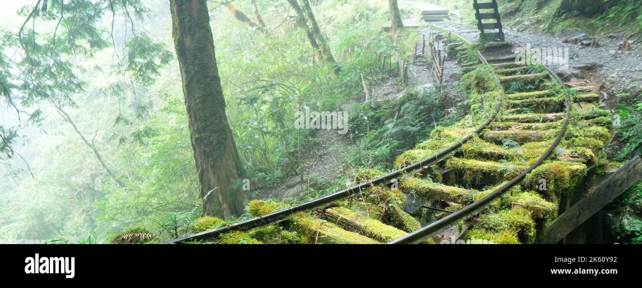 Magnifique sentier historique de Jianqing (Jiancing), chemin de fer forestier de l'aire de loisirs de la forêt nationale de Taipingshan de Taiwan. Banque D'Images