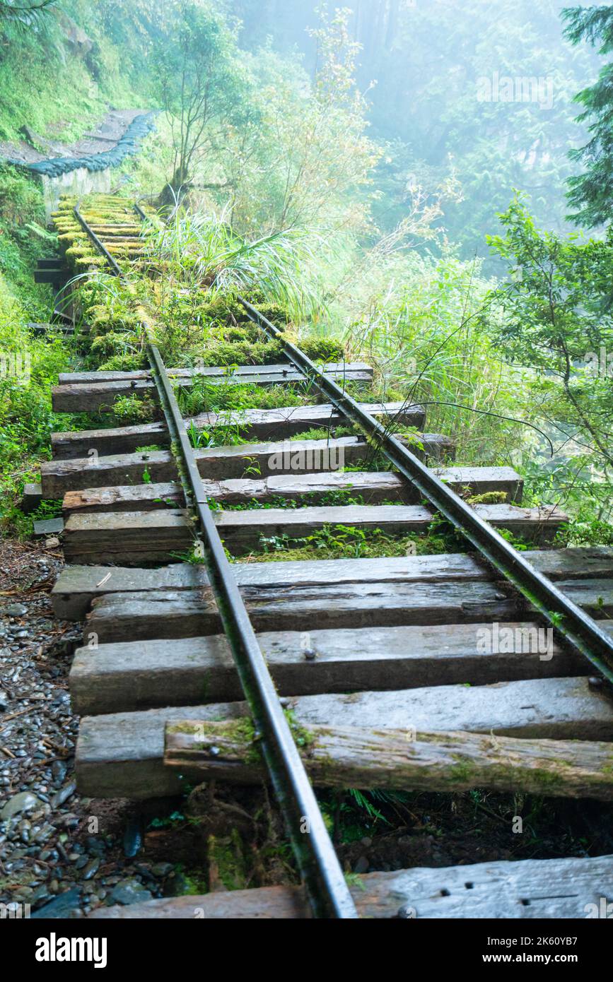 Magnifique sentier historique de Jianqing (Jiancing), chemin de fer forestier de l'aire de loisirs de la forêt nationale de Taipingshan de Taiwan. Banque D'Images