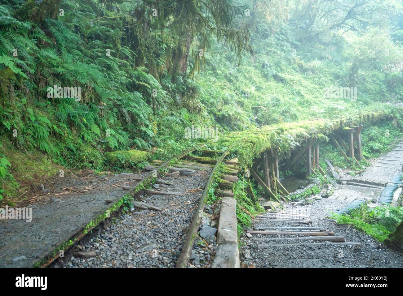 Magnifique sentier historique de Jianqing (Jiancing), chemin de fer forestier de l'aire de loisirs de la forêt nationale de Taipingshan de Taiwan. Banque D'Images