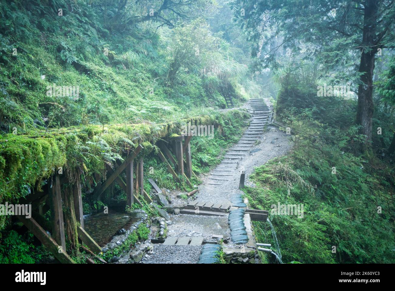 Magnifique sentier historique de Jianqing (Jiancing), chemin de fer forestier de l'aire de loisirs de la forêt nationale de Taipingshan de Taiwan. Banque D'Images