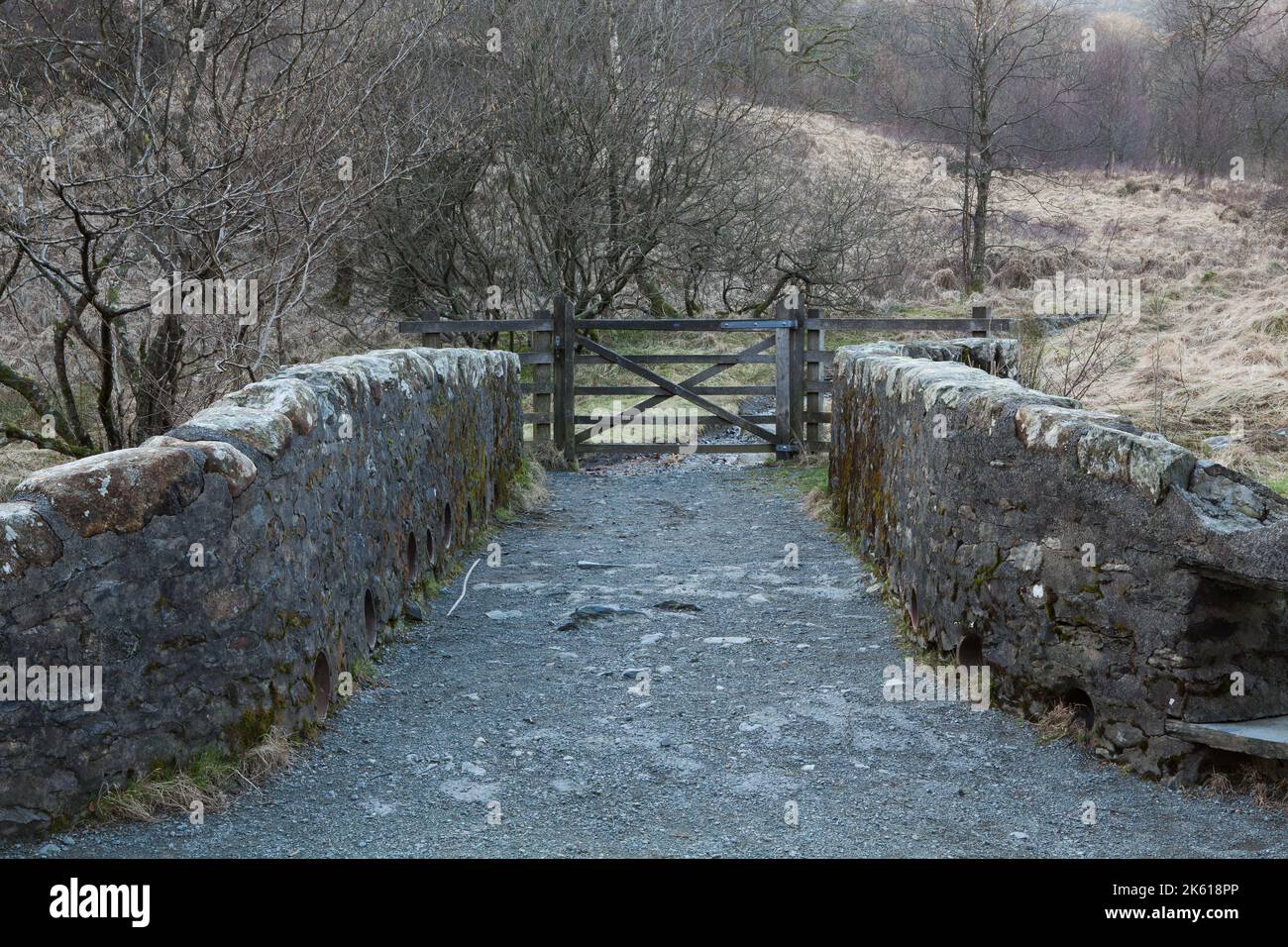 Un pont à cheval avec une porte et des arbres sans feuilles en zone rurale Banque D'Images