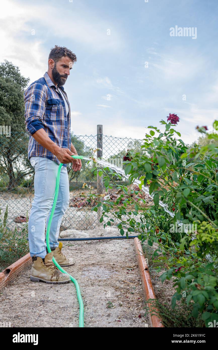 Vue latérale d'un jeune fermier hispanique barbu concentré dans une chemise à carreaux arroser les plantes du tuyau pendant le travail dans le jardin Banque D'Images
