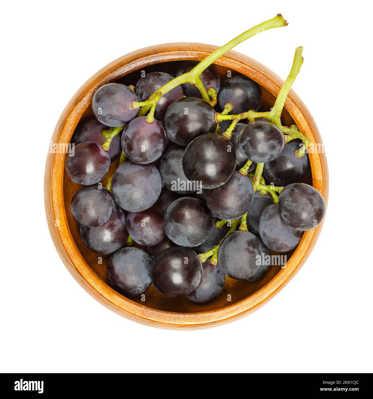 Vignes communes, dans un bol en bois. Vignes fraîchement cueillies de raisins sauvages mûrs, Vitis vinifera, avec de petits raisins pourpres foncé. Banque D'Images