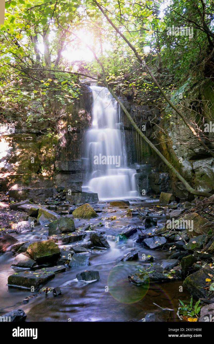 Cascade de Harmby près de Leyburn North Yorkshire UK Banque D'Images