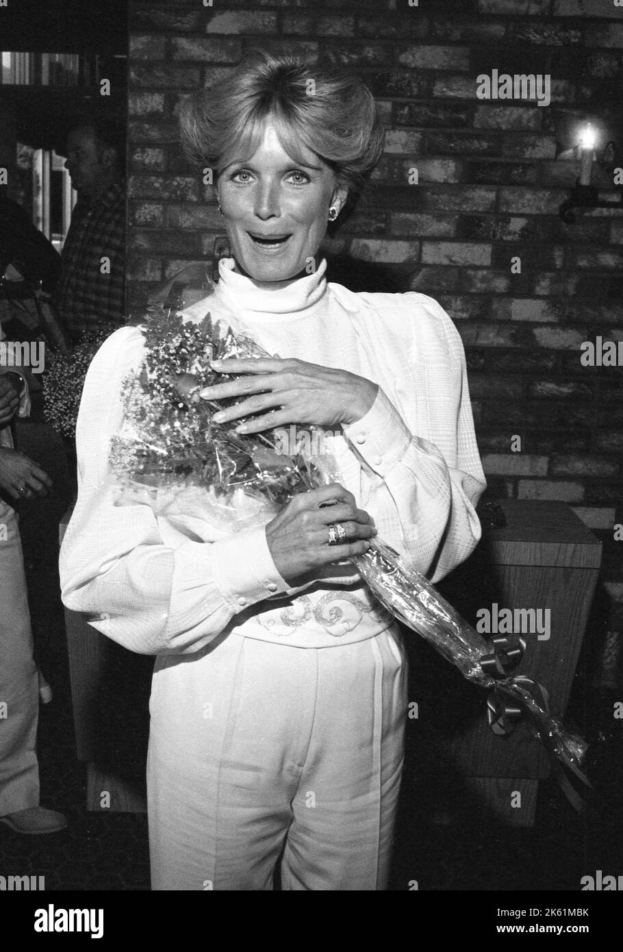 Linda Evans à la famille Feud All-Star Premier Time cocktail spécial après la fête avec des acteurs de l'hôpital général, tous mes enfants, Dynasty et Knott's Landing sur 25 juillet 1982. Crédit: Ralph Dominguez/MediaPunch Banque D'Images