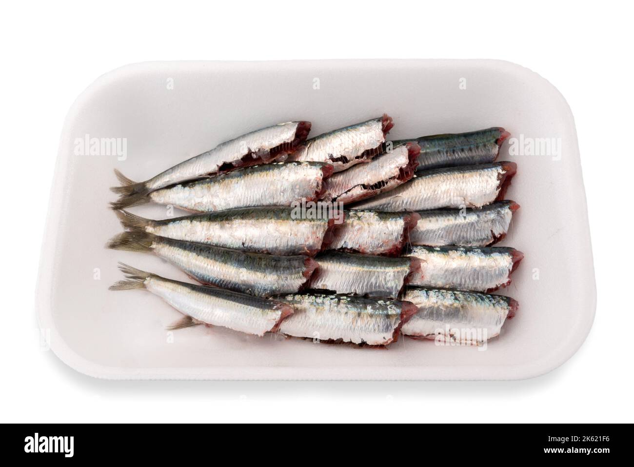 Nettoyez les sardines prêtes à cuire dans un plateau alimentaire en plastique isolé sur un chemin de découpe blanc. Poisson bleu italien Banque D'Images