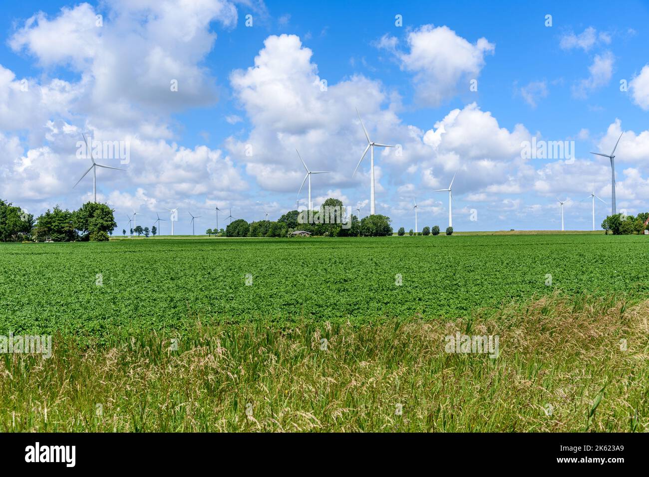 Ferme éolienne dans un paysage rural sous ciel bleu avec des nuages en été Banque D'Images