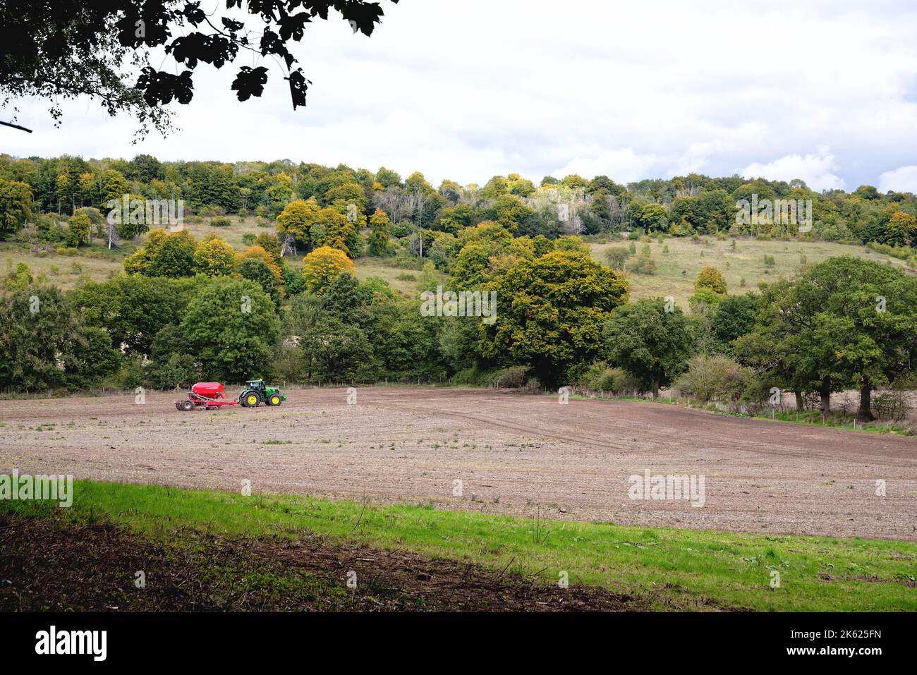 Un tracteur vert avec une remorque rouge travaillant dans un champ dans le Surrey Hill à Abinger hrs près de Dorking, un jour d'automne Angleterre Royaume-Uni Banque D'Images