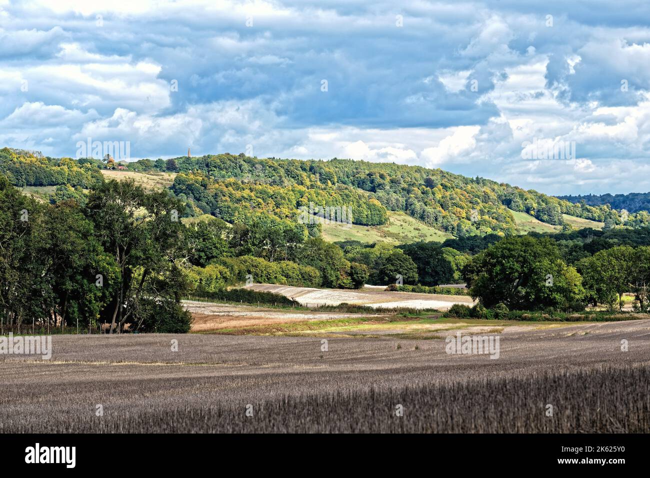 Les collines de Surrey et North Downs, en direction de l'est, lors d'une journée ensoleillée au début de l'automne près de Dorking England UK Banque D'Images