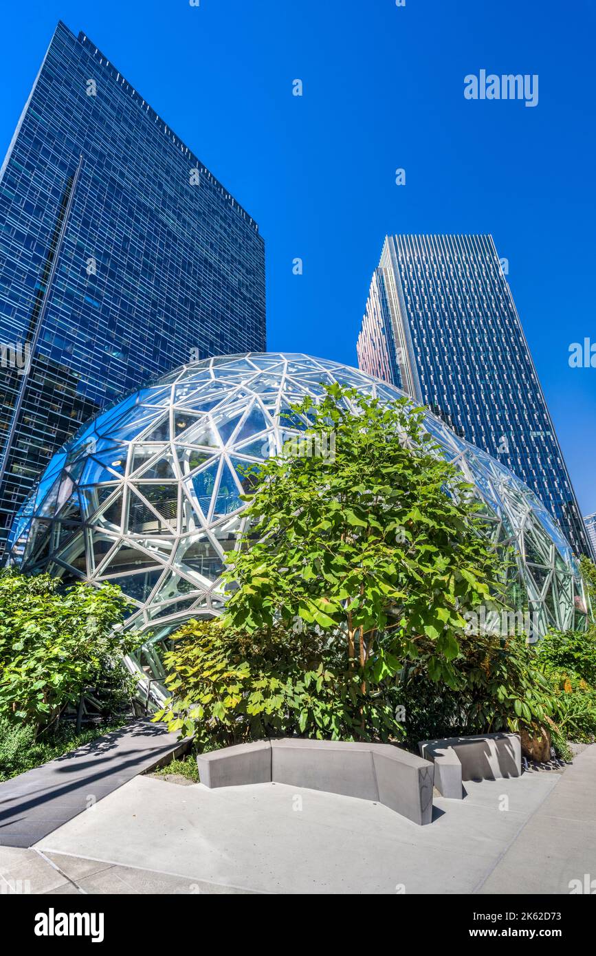 Amazon Spheres sur le campus du siège d'Amazon, Seattle, Washington, États-Unis Banque D'Images