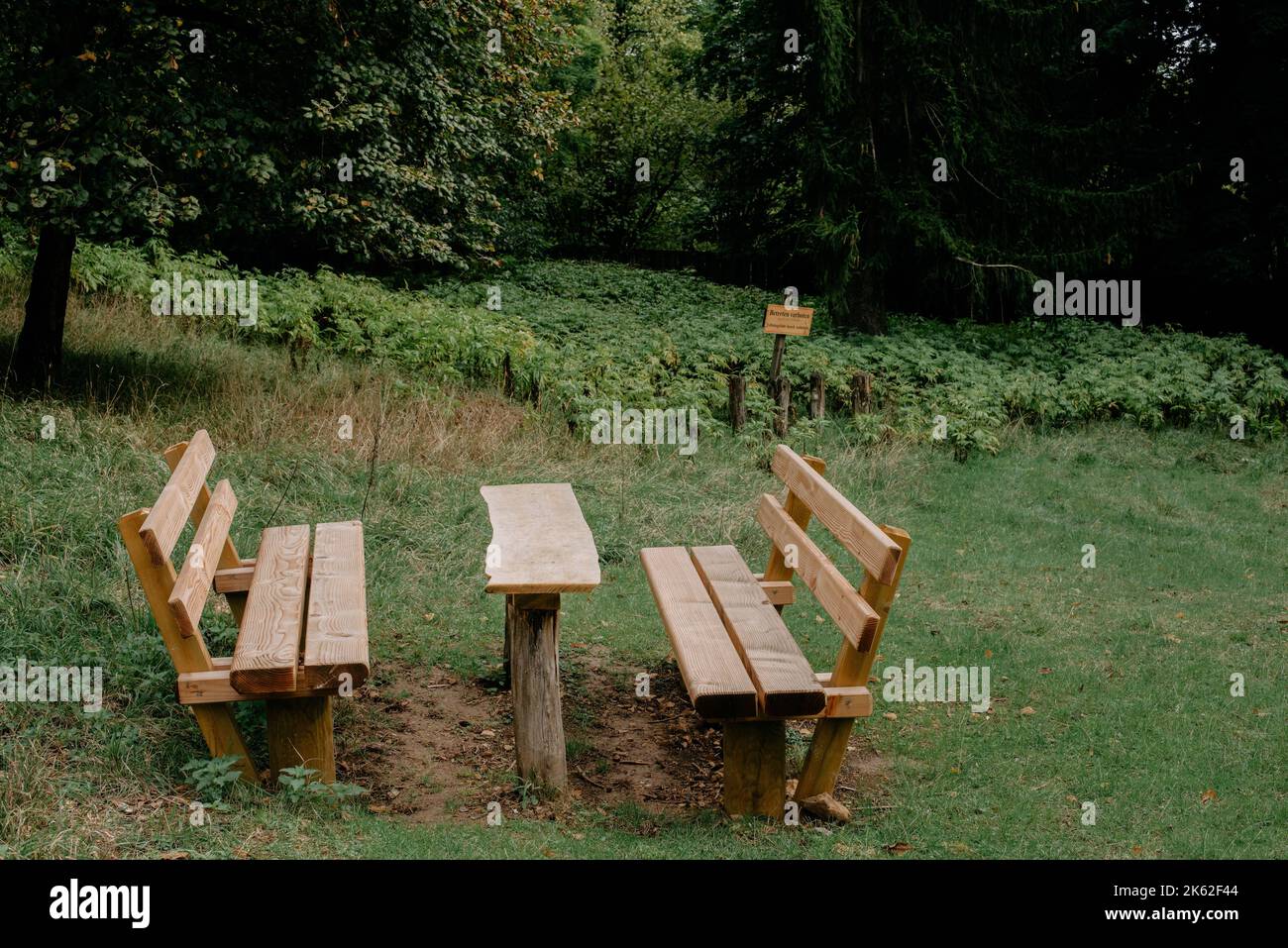 Saison d'automne calme dans le parc allemand. Magnifique paysage avec table et banc dans la forêt d'automne. Banc de pique-nique et table dans le parc d'automne. Les mauves et Banque D'Images