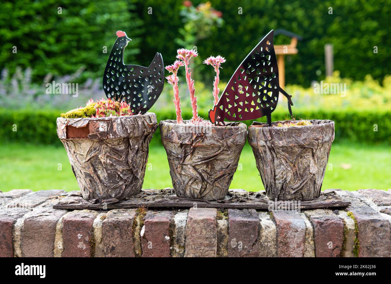 Zwalm, région de Flandre orientale - Belgique - 07 14 2021 gros plan de plantes décoratives et de jouets de jardin dans un pot en pierre Banque D'Images