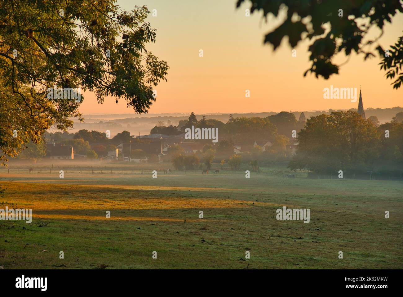 Matin brumeux près de Plailly dans le Val d'Oise en France Banque D'Images